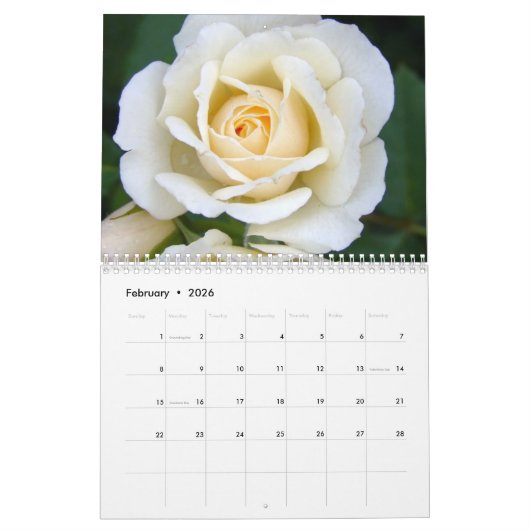Rose - Kalender 2025 (Feb 2026)