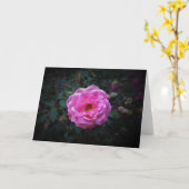 Rose, Karte (Gelbe Blume)
