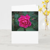 Rose, Karte (Gelbe Blume)