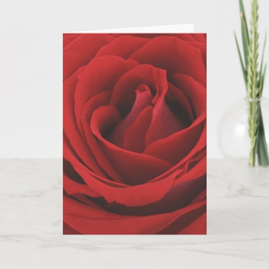 Rose Karte (Vorderseite)
