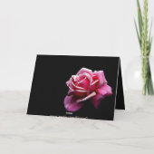 Rose Karte (Rückseite)