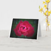 Rose, Karte (Gelbe Blume)
