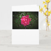 Rose, Karte (Gelbe Blume)