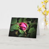 Rose, Karte (Gelbe Blume)