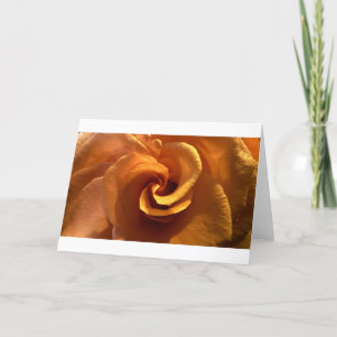 Rose, Karte