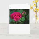 Rose, Karte (Gelbe Blume)