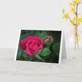 Rose, Karte (Gelbe Blume)