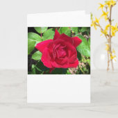 Rose, Karte (Gelbe Blume)