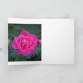Rose, Karte (Innenseite)