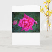 Rose, Karte (Gelbe Blume)