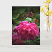 Rose, Karte (Gelbe Blume)