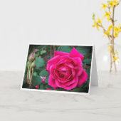 Rose, Karte (Gelbe Blume)