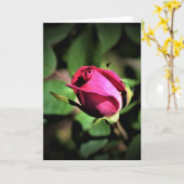 Rose, Karte (Gelbe Blume)