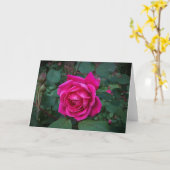 Rose, Karte (Gelbe Blume)