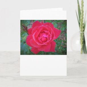 Rose, Karte