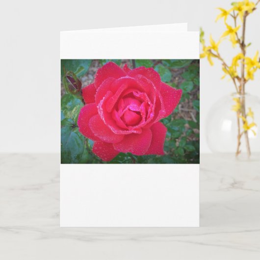 Rose, Karte (Gelbe Blume)