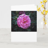Rose, Karte (Gelbe Blume)