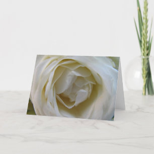 Rose Karte
