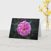 Rose, Karte (Gelbe Blume)