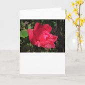 Rose, Karte (Gelbe Blume)