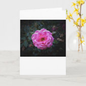 Rose, Karte (Gelbe Blume)