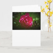 Rose, Karte (Gelbe Blume)