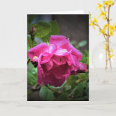 Rose, Karte (Gelbe Blume)