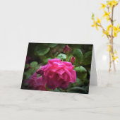 Rose, Karte (Gelbe Blume)