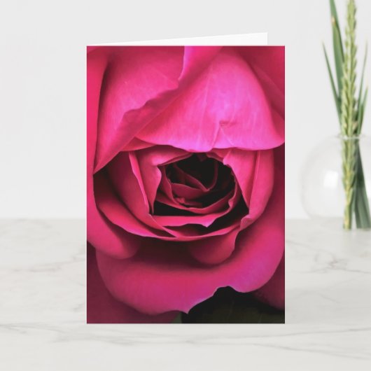 Rose, Karte (Vorderseite)