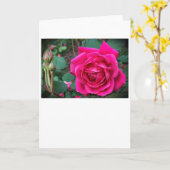 Rose, Karte (Gelbe Blume)
