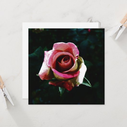 Rose Karte (Vorderseite/Rückseite Beispiel)