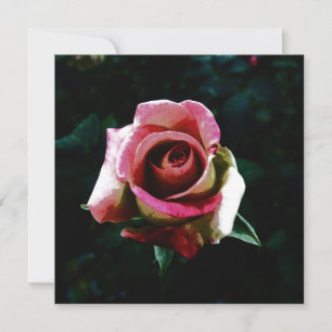 Rose Karte
