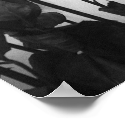 Rose [keine Grenze] Poster (Ecke)