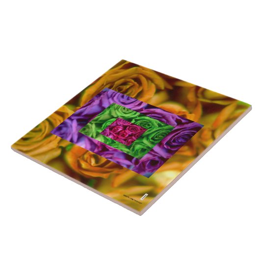 Rose Keramik Fliese (Seite)