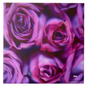 Rose Keramik Fliese