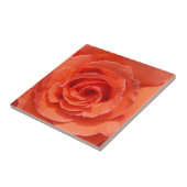 Rose Keramik Foto Fliese (Seite)