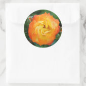 Rose Klassischer Rundaufkleber, glänzend Runder Aufkleber (Tasche)