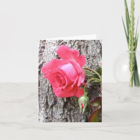 Rose Klettern auf Baum Grußkarte Karte (Vorderseite)