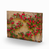 Rose klettern auf einer Ziegelwand auf Foto Block (Rechts)