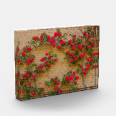 Rose klettern auf einer Ziegelwand auf Foto Block (Links)