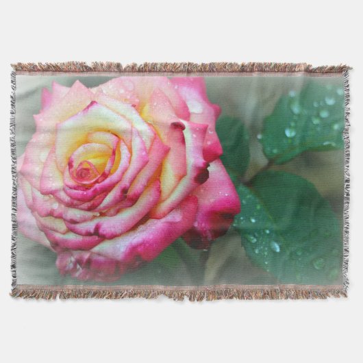 Rose Knöchel/Rosa und Weiß Decke (Vorderseite)