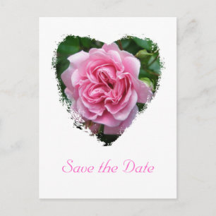Rose-Koordination Ankündigungspostkarte