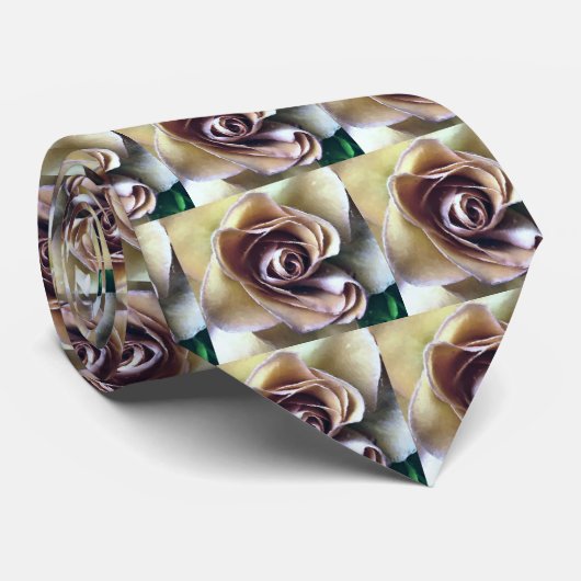 ROSE KRAWATTE (Gerollt)