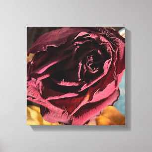 Rose Leinwand