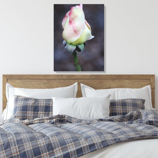 Rose Leinwand Wrap (Insitu (Schlafzimmer))