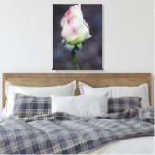 Rose Leinwand Wrap (Insitu (Schlafzimmer))