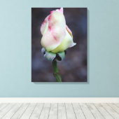 Rose Leinwand Wrap (Insitu (Holzboden))