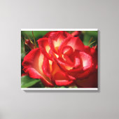 Rose Leinwand Wrap (Vorderseite)