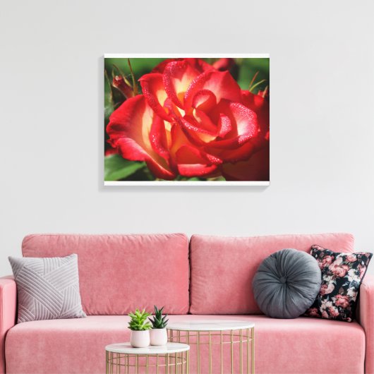 Rose Leinwand Wrap (Insitu (Wohnzimmer))