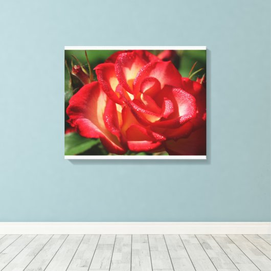 Rose Leinwand Wrap (Insitu (Holzboden))